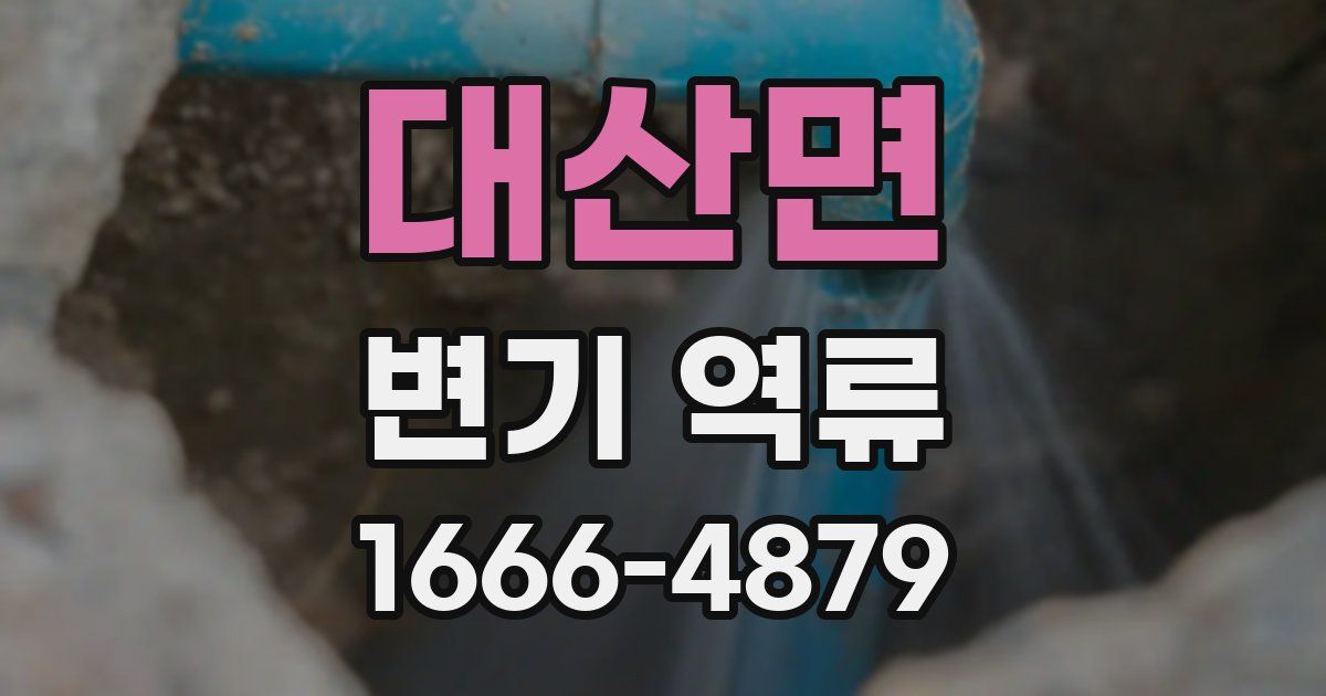 대산면 변기 역류