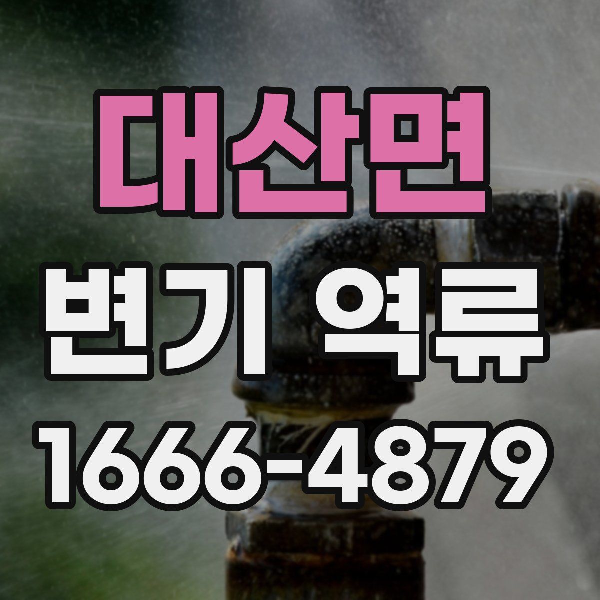 대산면 변기 역류