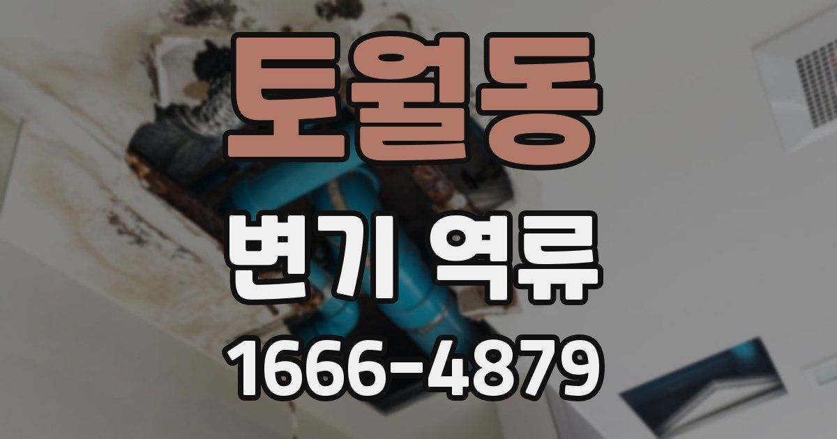 토월동 변기 역류