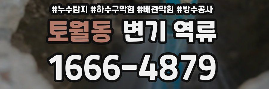 토월동 변기 역류