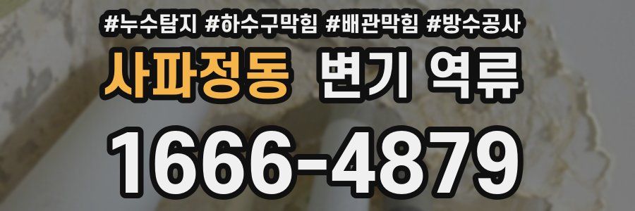 사파정동 변기 역류