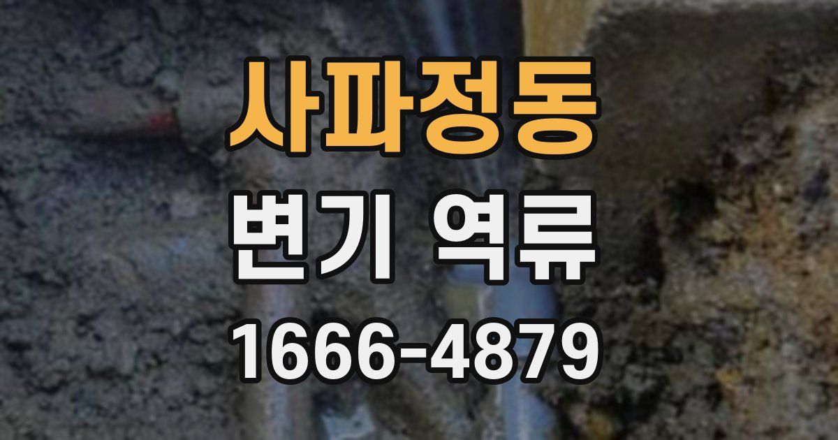 사파정동 변기 역류