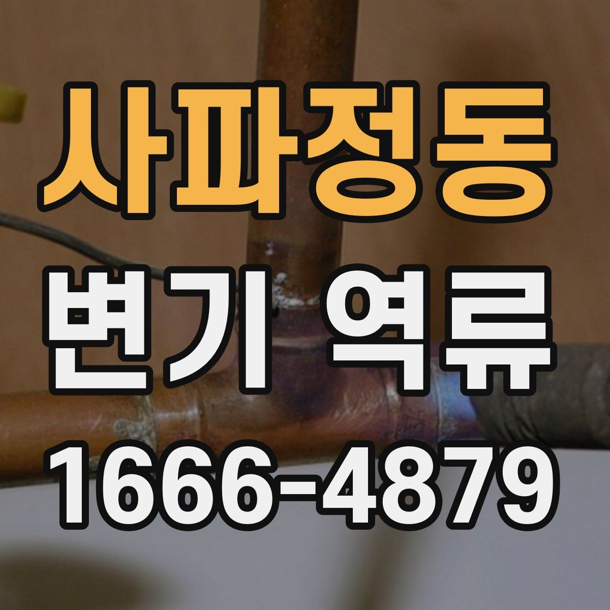 사파정동 변기 역류