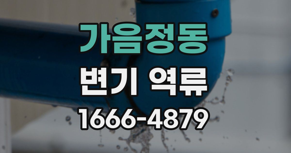 가음정동 변기 역류