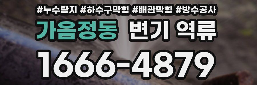 가음정동 변기 역류