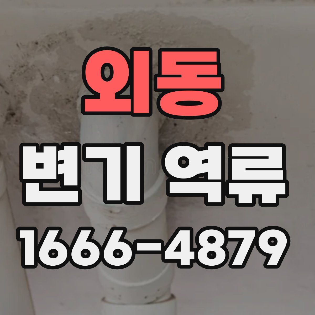 외동 변기 역류
