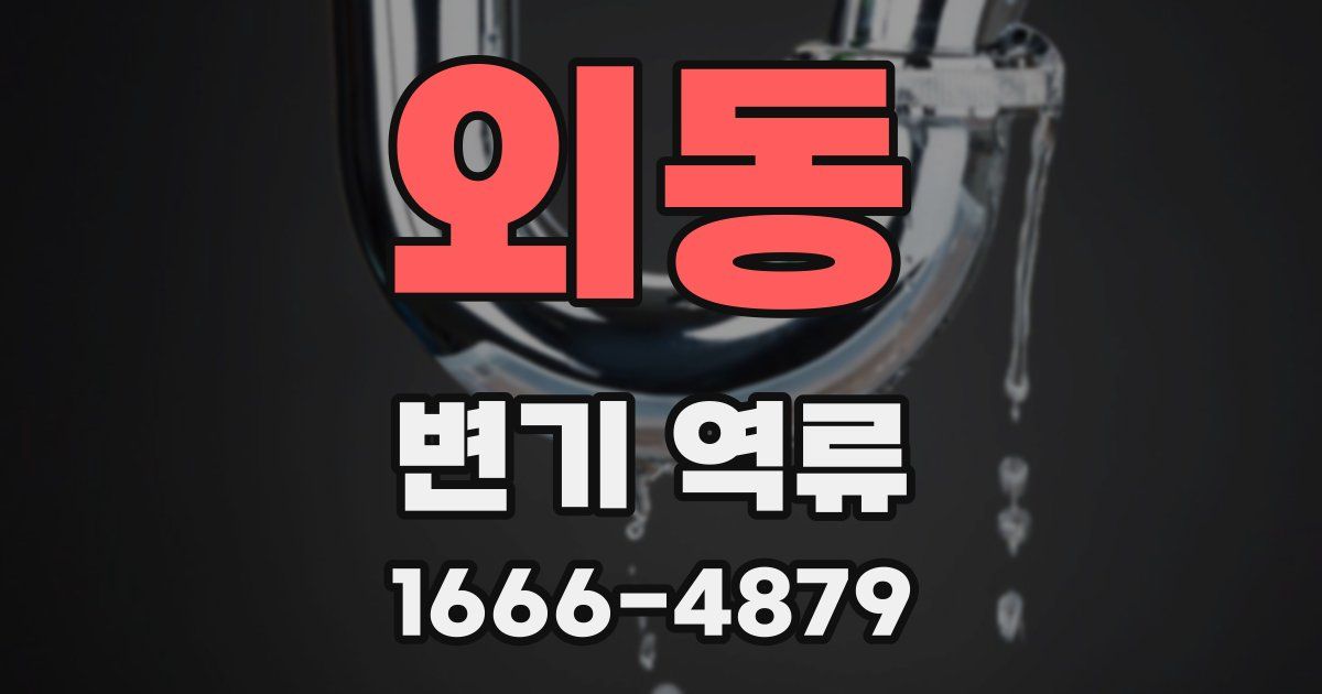 외동 변기 역류