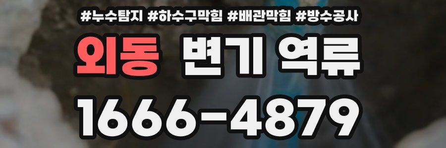 외동 변기 역류