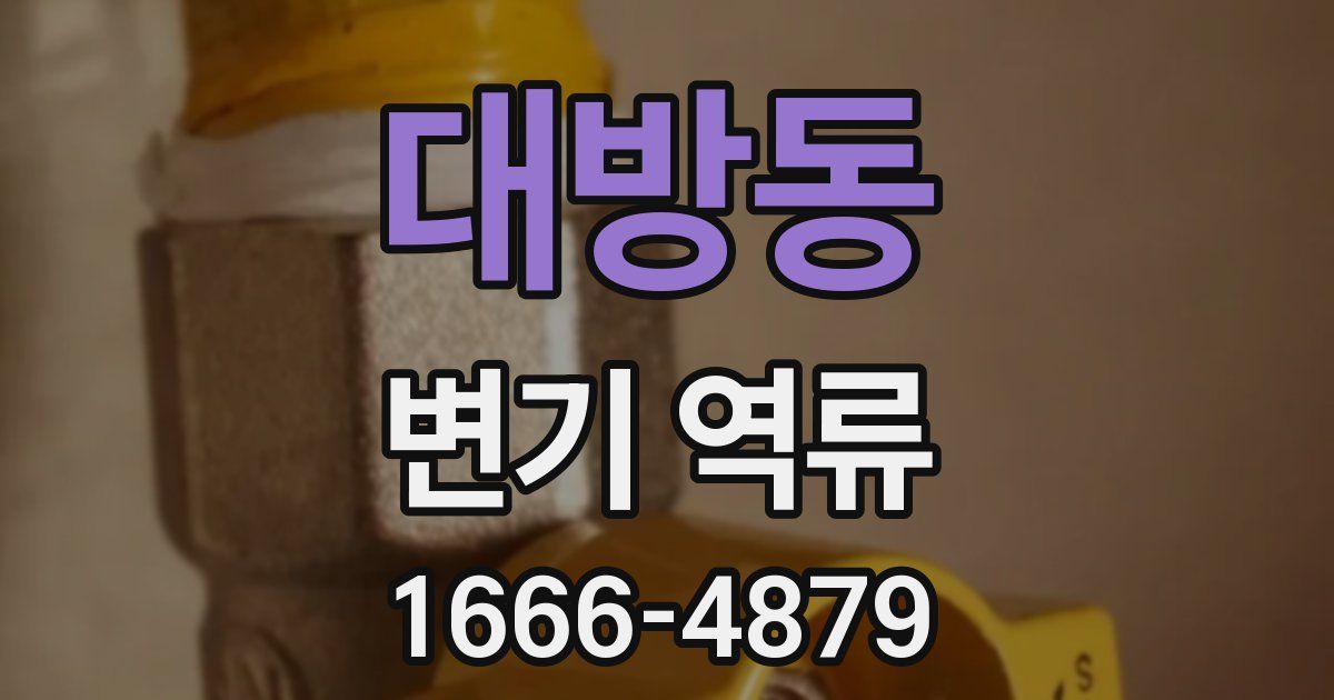 대방동 변기 역류