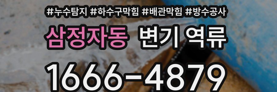삼정자동 변기 역류