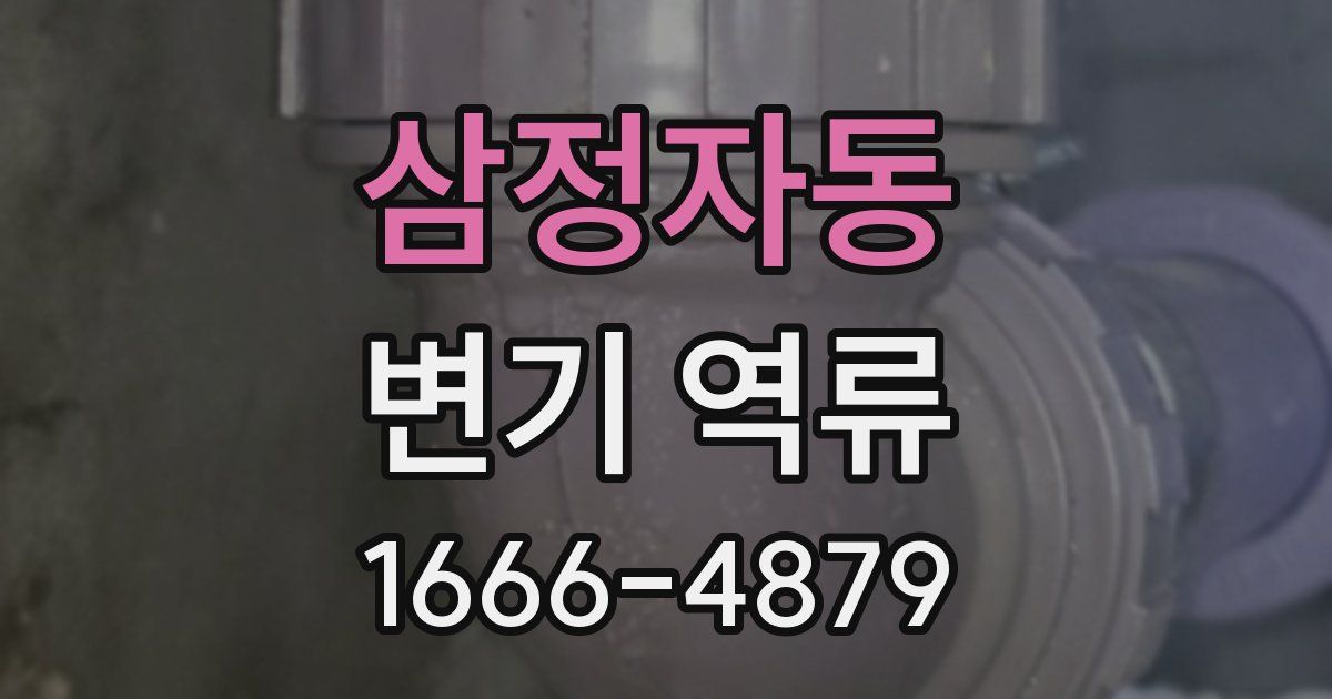 삼정자동 변기 역류