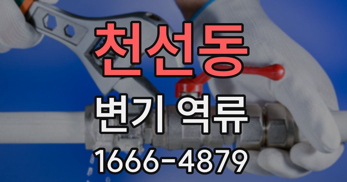 천선동 변기 역류