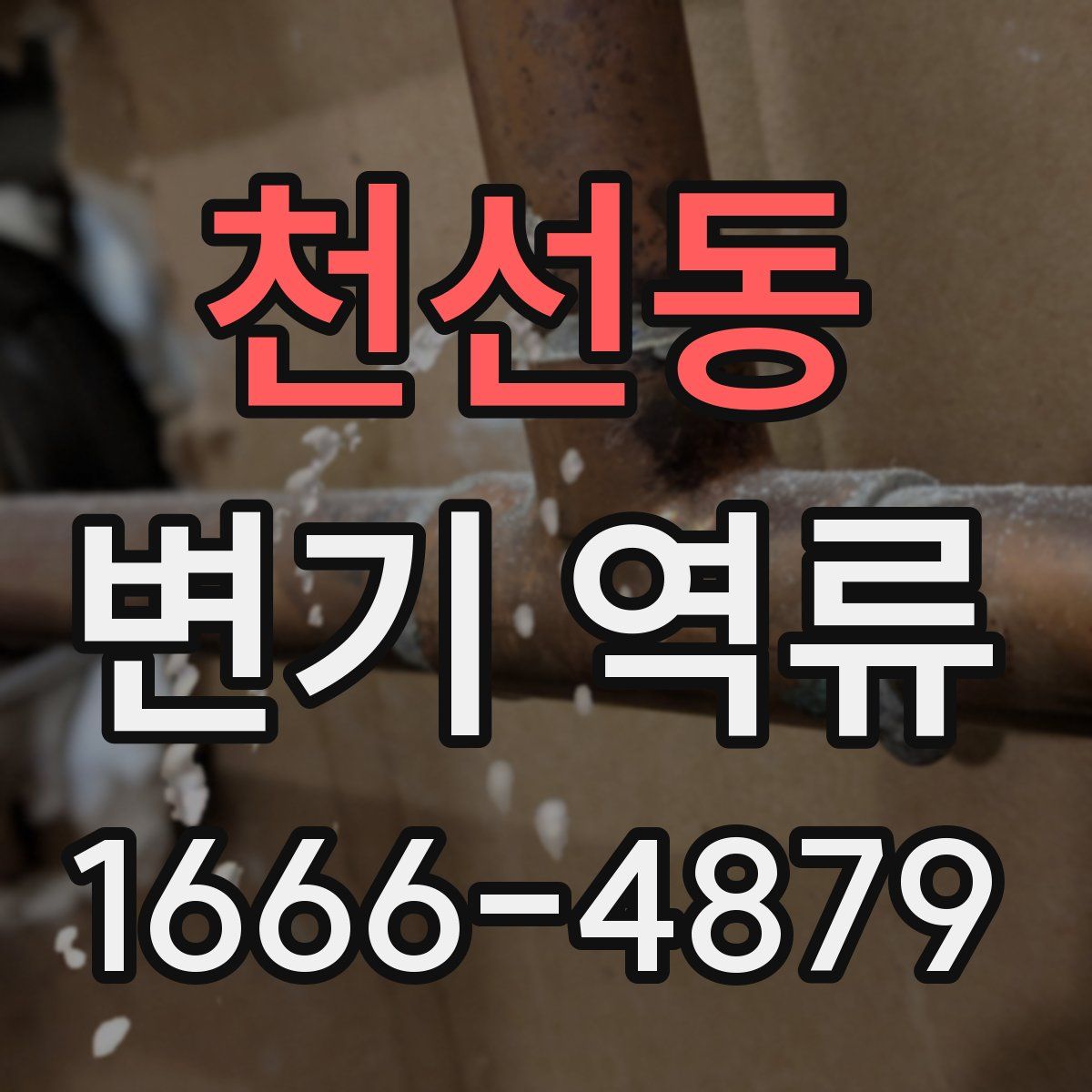 천선동 변기 역류