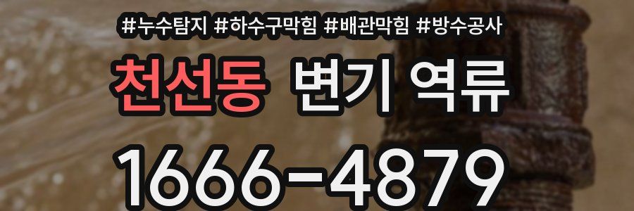 천선동 변기 역류