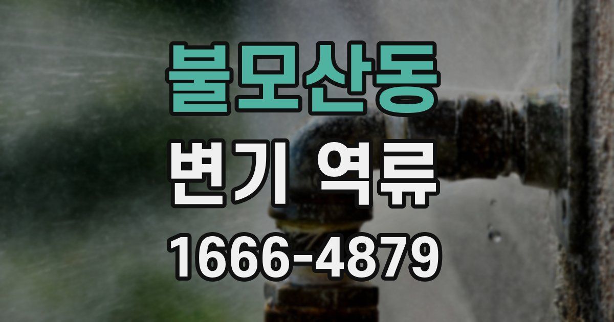불모산동 변기 역류