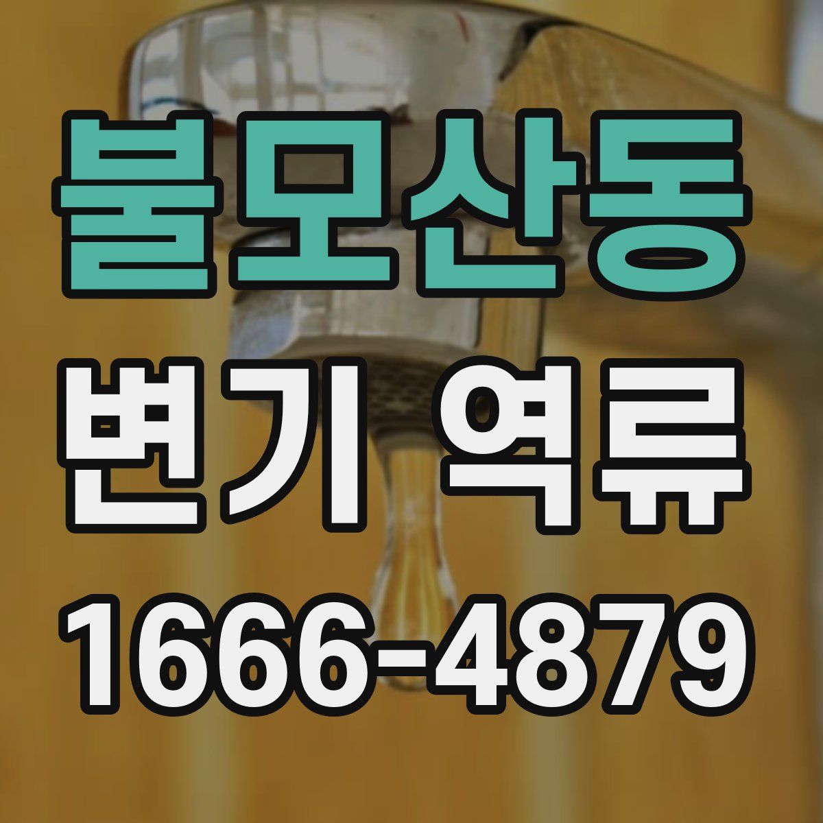 불모산동 변기 역류