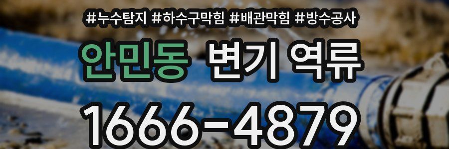 안민동 변기 역류
