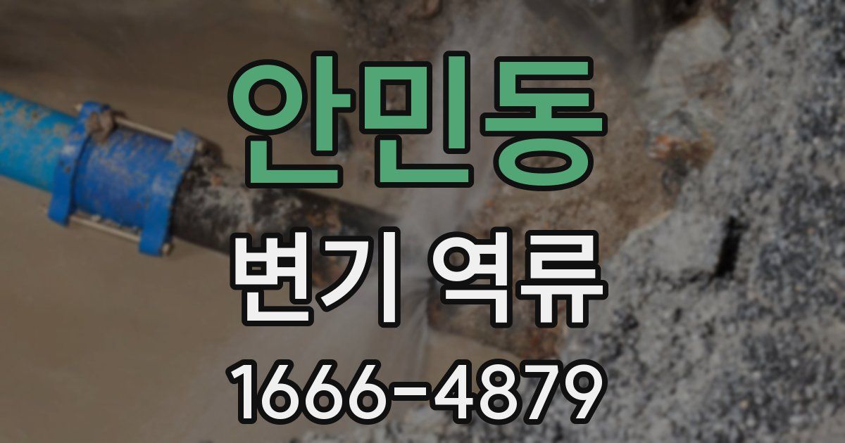 안민동 변기 역류