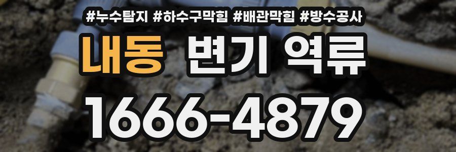 내동 변기 역류
