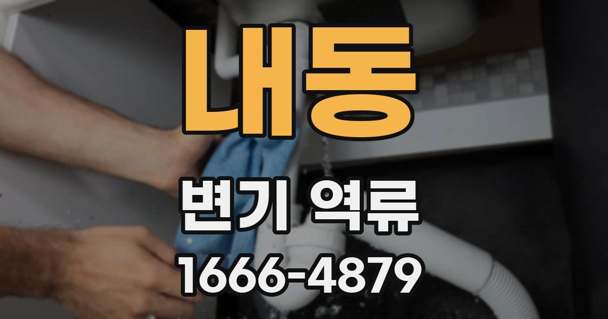 내동 변기 역류