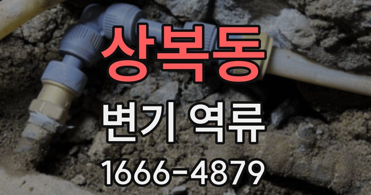상복동 변기 역류