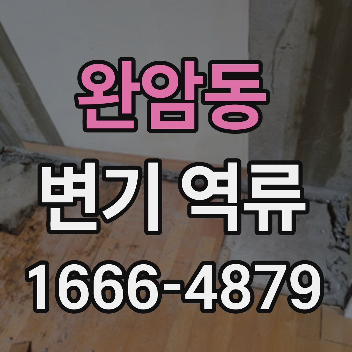 완암동 변기 역류