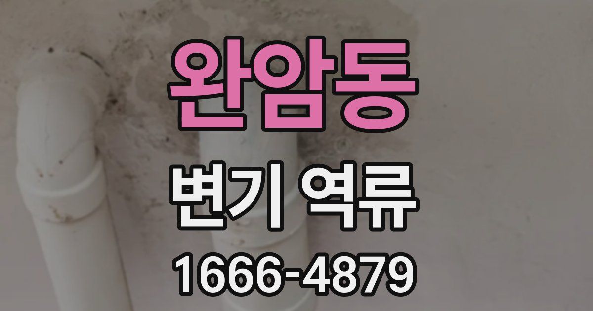 완암동 변기 역류