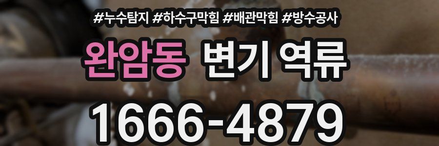 완암동 변기 역류