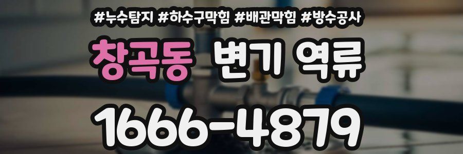 창곡동 변기 역류