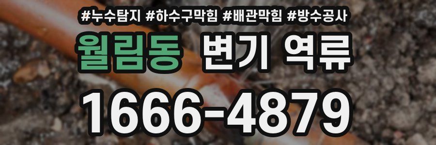 월림동 변기 역류