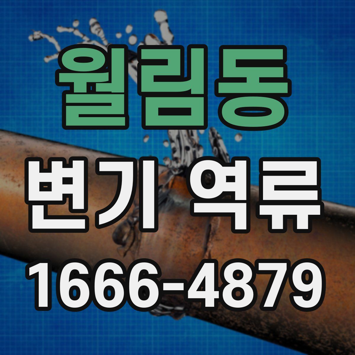 월림동 변기 역류