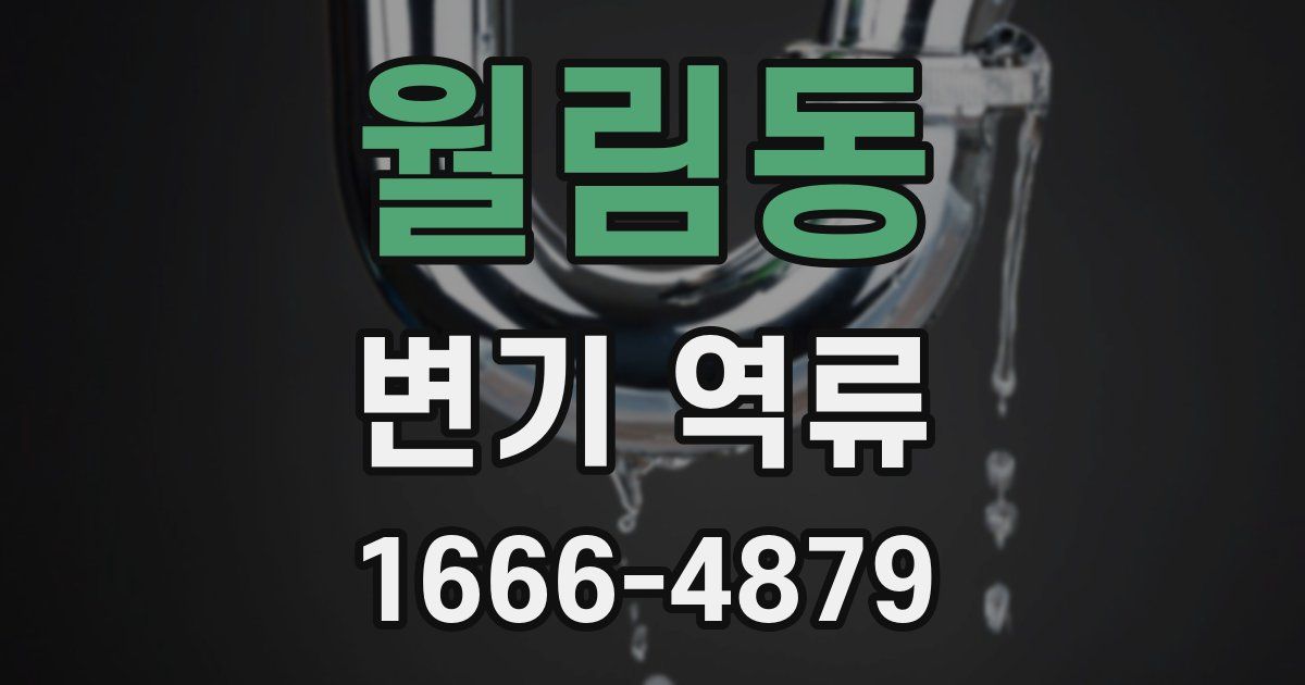월림동 변기 역류