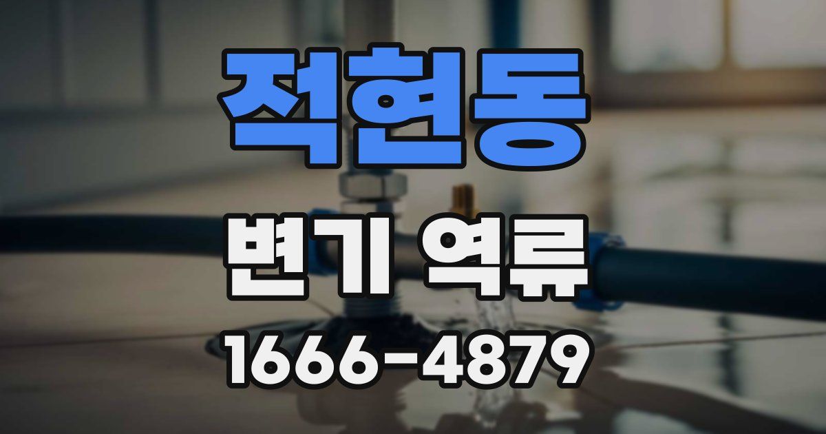 적현동 변기 역류