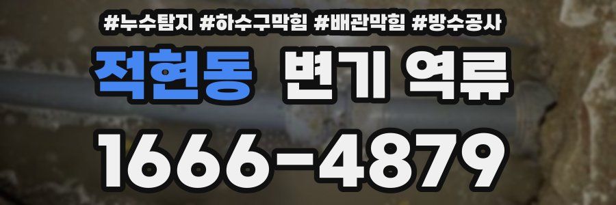 적현동 변기 역류