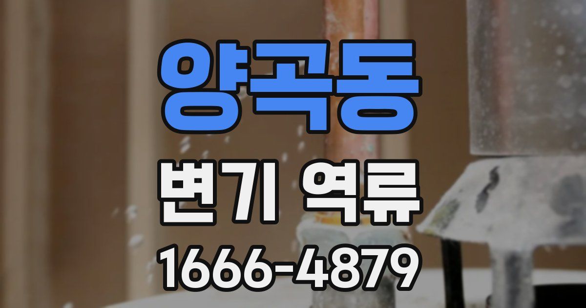 양곡동 변기 역류