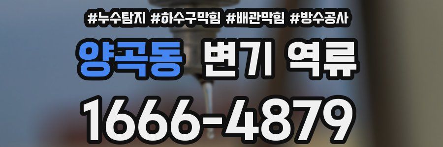 양곡동 변기 역류