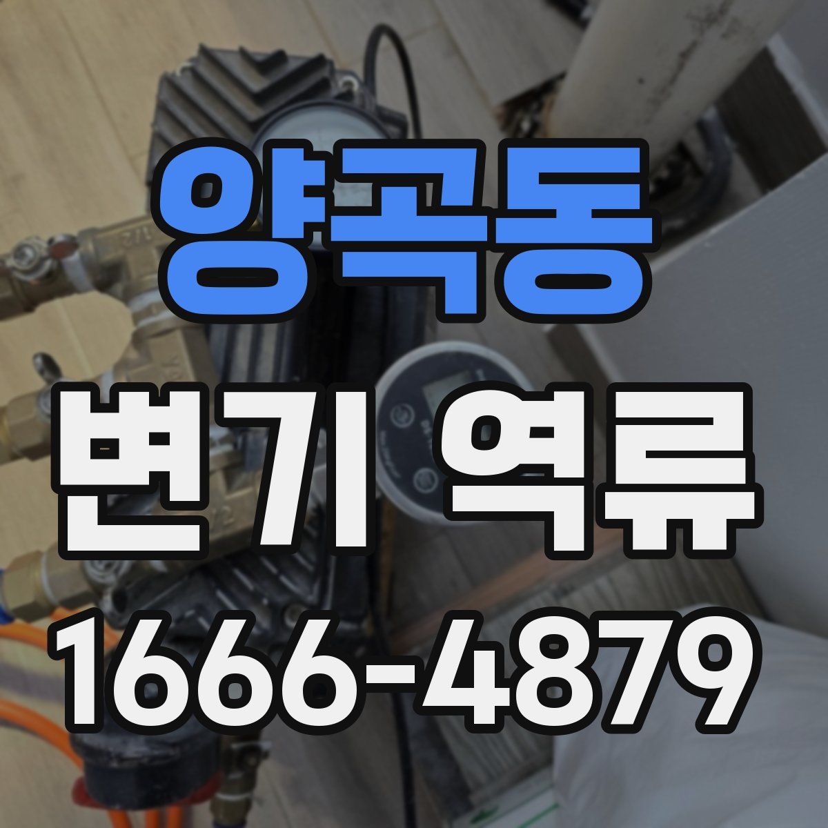 양곡동 변기 역류