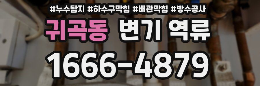 귀곡동 변기 역류