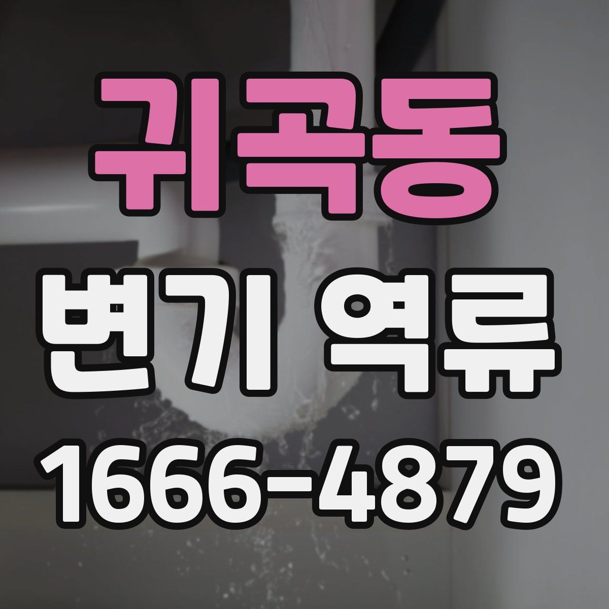 귀곡동 변기 역류