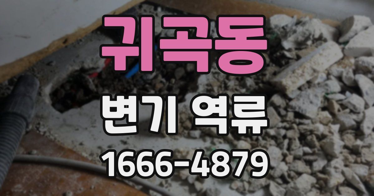 귀곡동 변기 역류