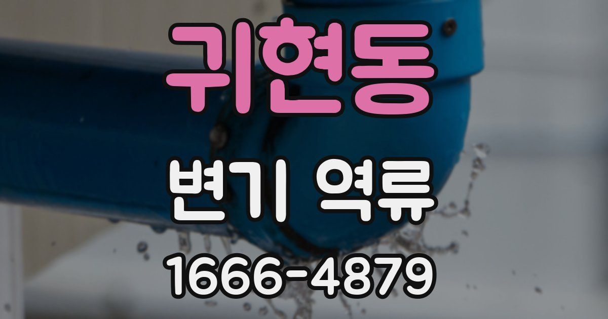 귀현동 변기 역류
