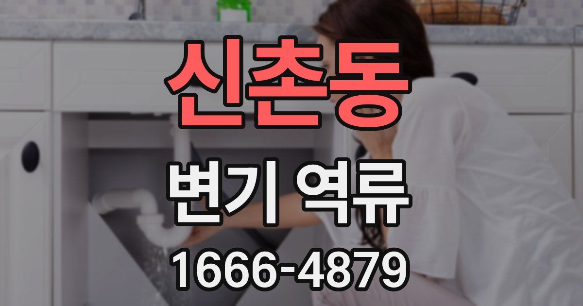 신촌동 변기 역류
