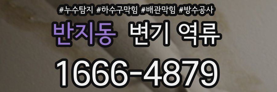 반지동 변기 역류