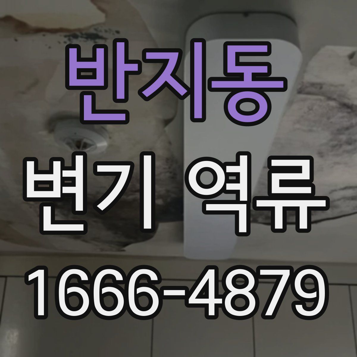 반지동 변기 역류