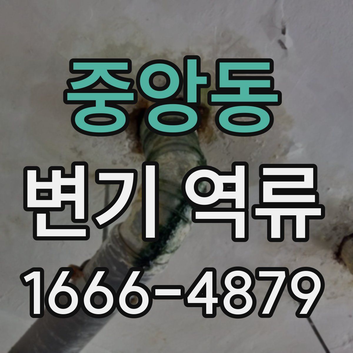중앙동 변기 역류