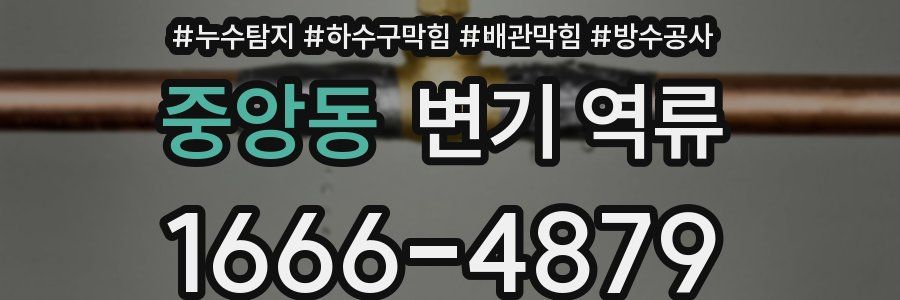 중앙동 변기 역류