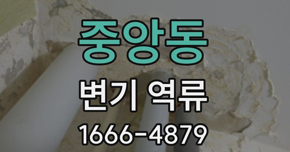 중앙동 변기 역류