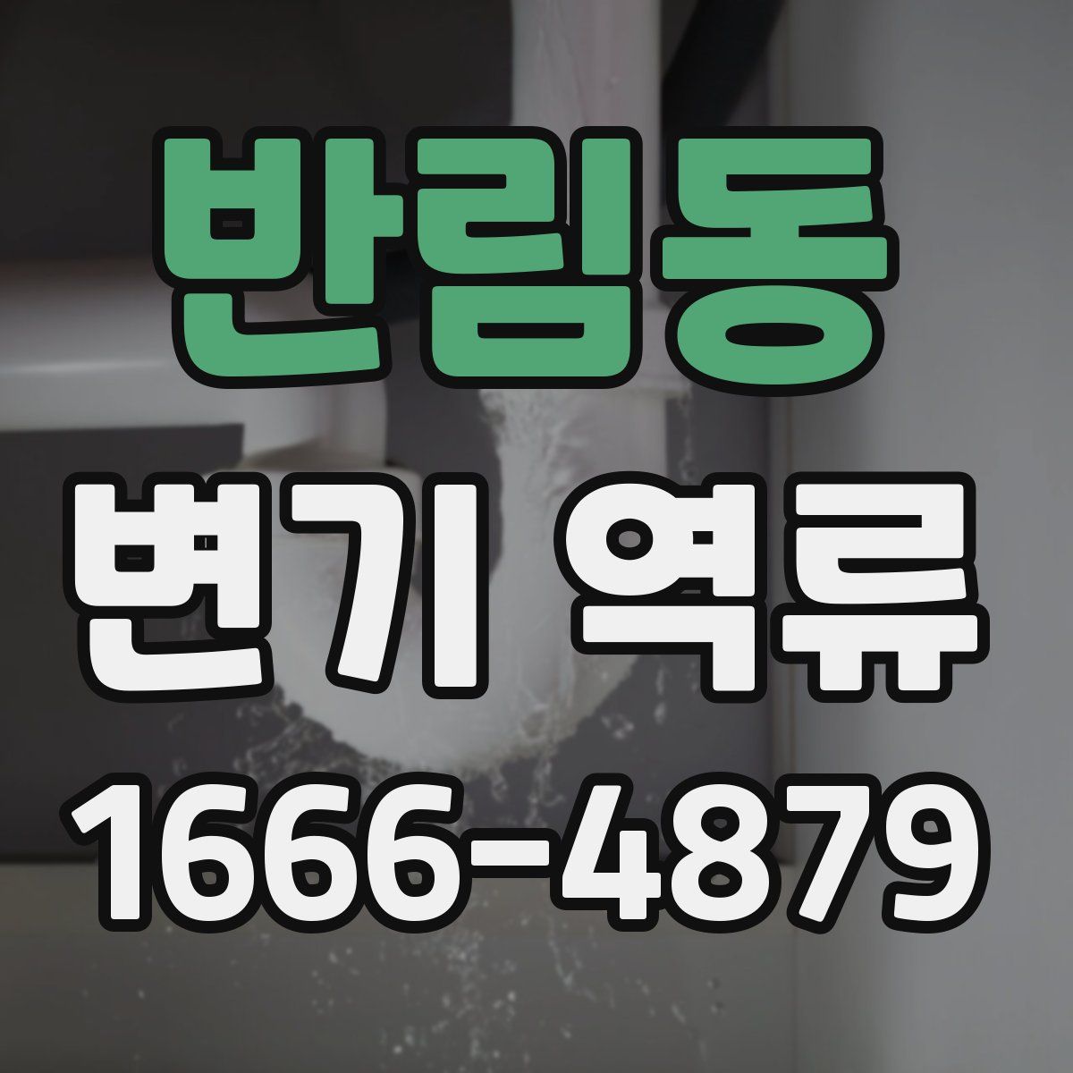 반림동 변기 역류