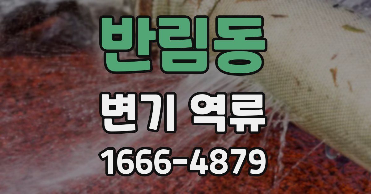 반림동 변기 역류