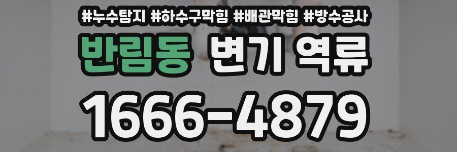 반림동 변기 역류